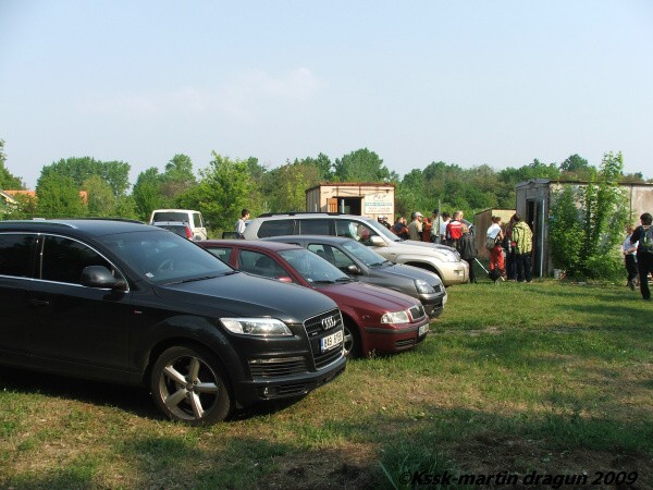 Mosquito 2009