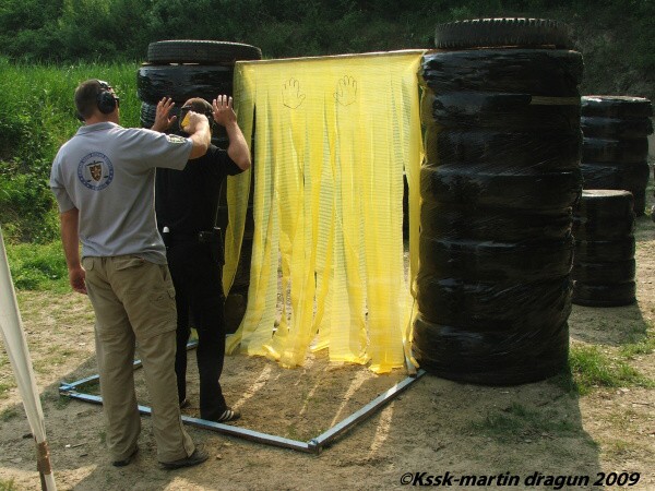 Mosquito 2009
