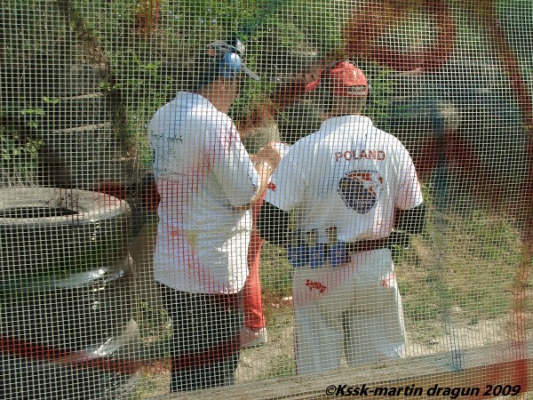 Mosquito 2009