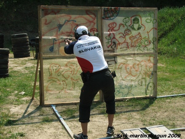 Mosquito 2009
