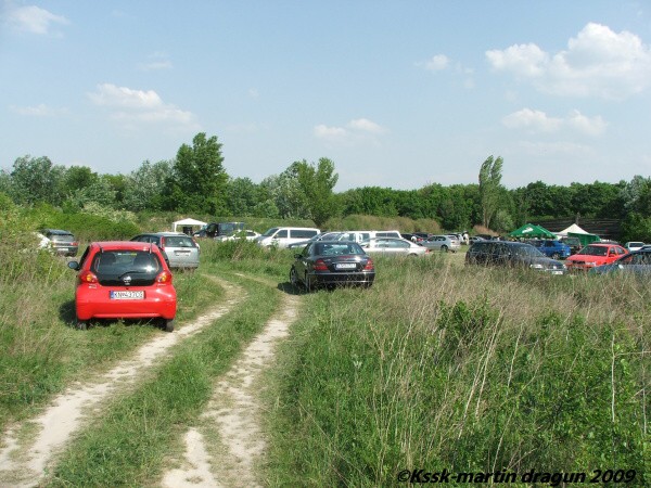 Mosquito 2009