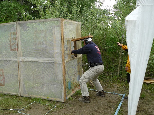 Mosquito 2011
